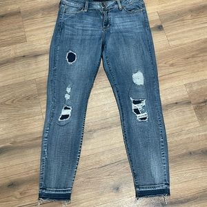 Liverpool Ankle Skinny Jeans